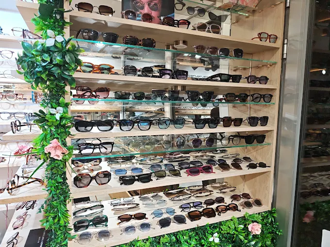 Présentoir de lunettes de soleil sur étagères de bois et de verre.